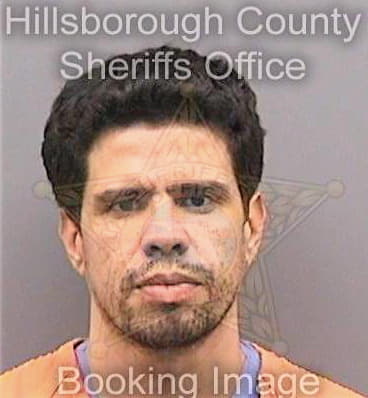 Ramos Luis - Hillsborough County, FL 