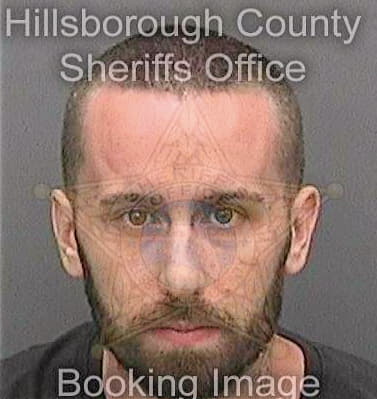 Carrigan Steven - Hillsborough County, FL 