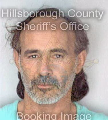 Diaz Hector - Hillsborough County, FL 