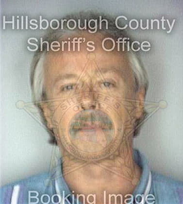 Mclinn Charles - Hillsborough County, FL 