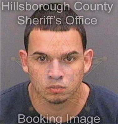 Sanchez Luis - Hillsborough County, FL 