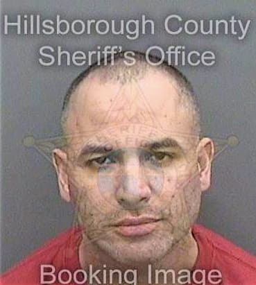 Medina Michael - Hillsborough County, FL 
