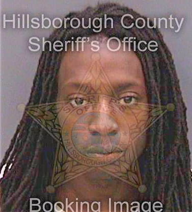 Diggs Rodriche - Hillsborough County, FL 