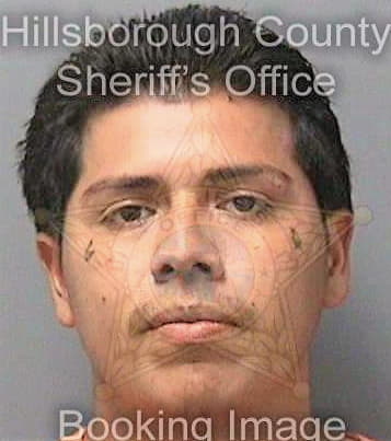 Lopez Leonard - Hillsborough County, FL 