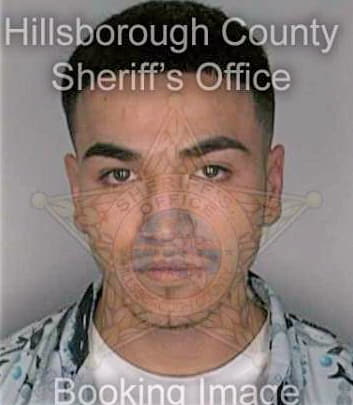 Ponce Ricardo - Hillsborough County, FL 