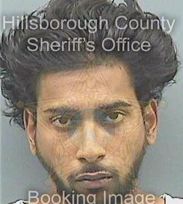 Ramtahal Steven - Hillsborough County, FL 