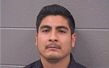 Hernandez Alejandrino - Cook County, IL 