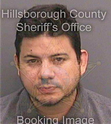 Villarrubiaechevarri Javier - Hillsborough County, FL 