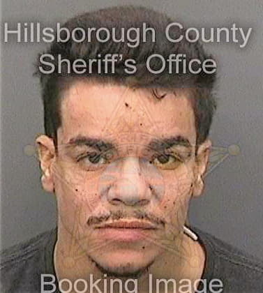 Figueroa Jose - Hillsborough County, FL 