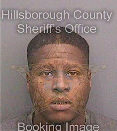 Davis Reginald - Hillsborough County, FL 