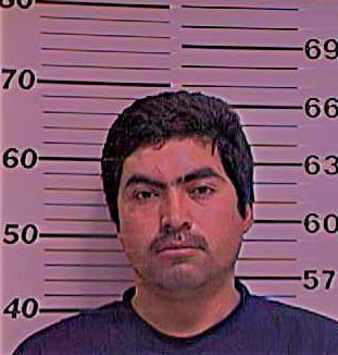 Hernandez Jose - Henderson County, TX 