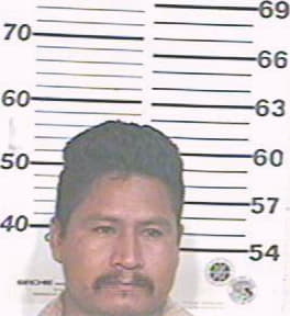 Sanchez Hipolito - Hidalgo County, TX 