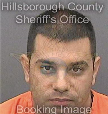 Merino-Cartaya Ernesto - Hillsborough County, FL 