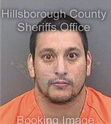 Velasquez Steven - Hillsborough County, FL 