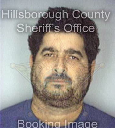 Hughes Lewis - Hillsborough County, FL 