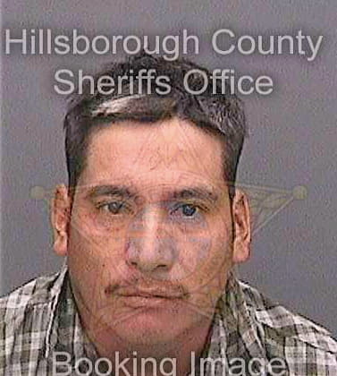 Martinez Silvano - Hillsborough County, FL 