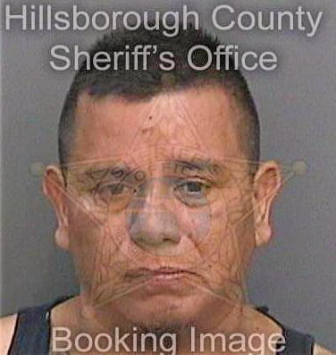 Balderas David - Hillsborough County, FL 