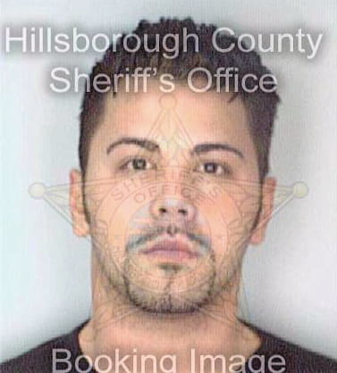 Nieves Felix - Hillsborough County, FL 