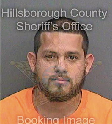 Vidal Gerardo - Hillsborough County, FL 