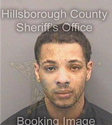 Reed Nicholas - Hillsborough County, FL 