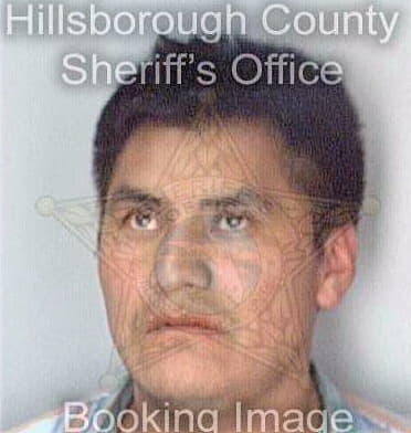 Gomez Santos - Hillsborough County, FL 