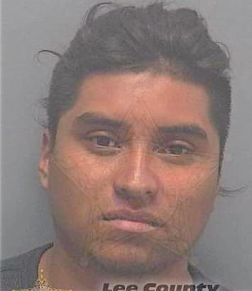 Juan Elias - Lee County, FL 