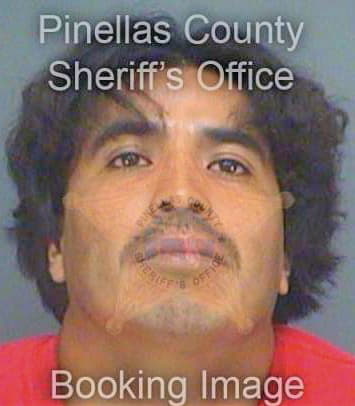 Panzotehuintle Agustin - Pinellas County, FL 