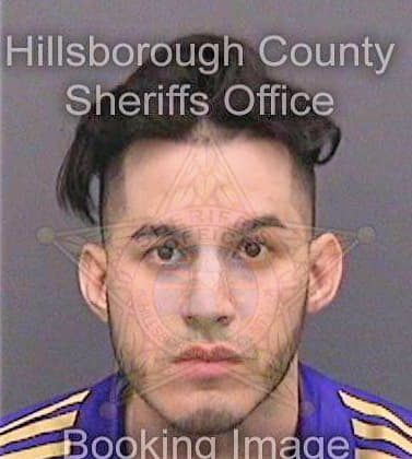 Bohorquez Richard - Hillsborough County, FL 