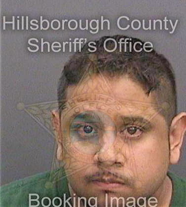 Tamez Felix - Hillsborough County, FL 