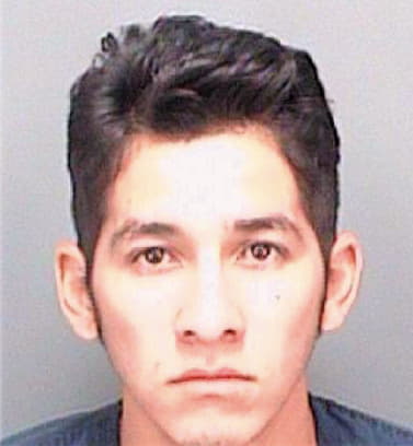 Perezmorales Alejandro - Pinellas County, FL 