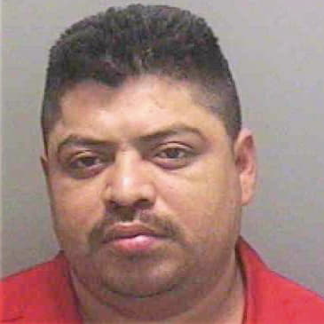 Argueta Vicente - Lee County, FL 