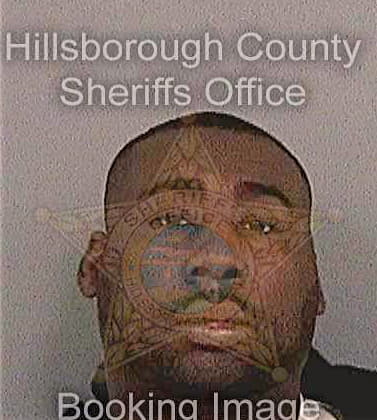 Bellamy James - Hillsborough County, FL 