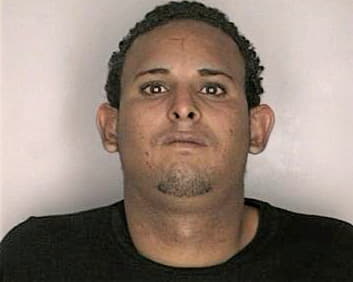 Ramireztorrez Raymond - Hillsborough County, FL 