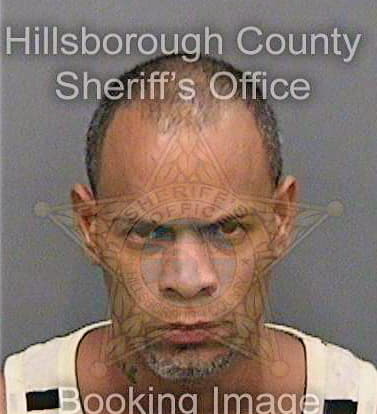 Torres Heriberto - Hillsborough County, FL 