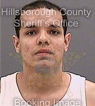 Perezrodriguez Axel - Hillsborough County, FL 