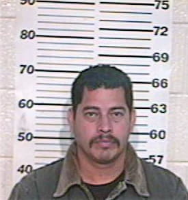 Sanchez Gomer - Hidalgo County, TX 