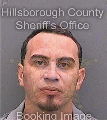 Cosmemartinez Jorge - Hillsborough County, FL 