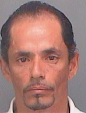 Montanezhernandez Raul - Pinellas County, FL 