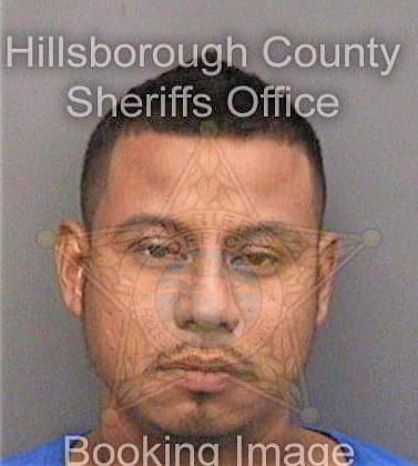 Perfectoherrera Rodolfo - Hillsborough County, FL 