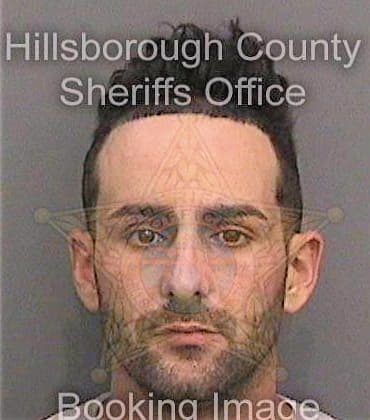 Medinavillasuso Franly - Hillsborough County, FL 