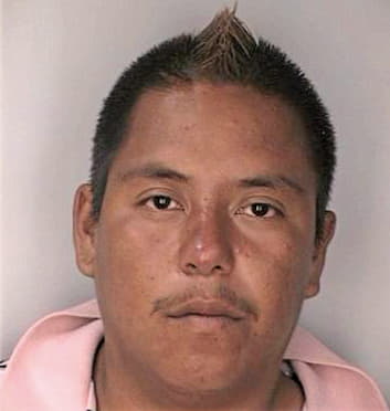 Mendozavargas Yair - Hillsborough County, FL 