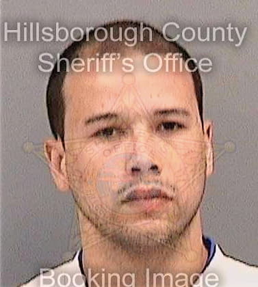 Merritt Jeffrey - Hillsborough County, FL 