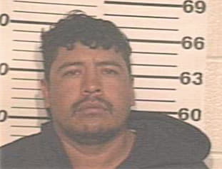 Tirado Moises - Hidalgo County, TX 