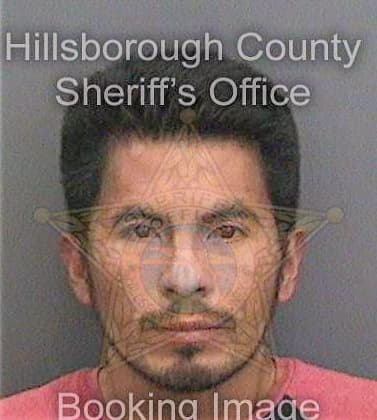 Ramireztejo Francisco - Hillsborough County, FL 