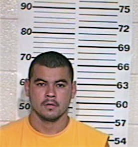 Enriquez Alejandro - Hidalgo County, TX 