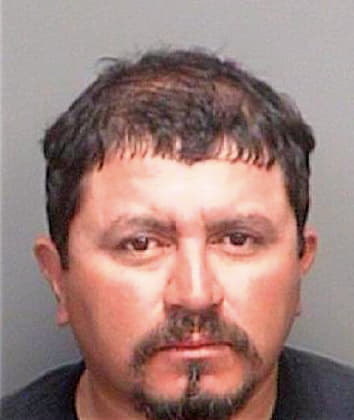 Lopez Jorge - Pinellas County, FL 