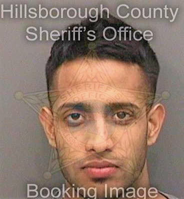 Thomas Pradeep - Hillsborough County, FL 