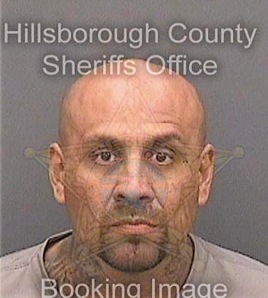 Nunez Omero - Hillsborough County, FL 