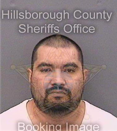Mendozaortiz Atanacio - Hillsborough County, FL 