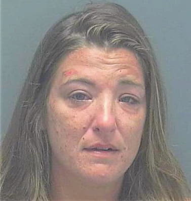 Bouldry Samantha - Lee County, FL 